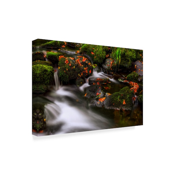 Yavuz Pancareken 'Autumn Melodies Water' Canvas Art,12x19